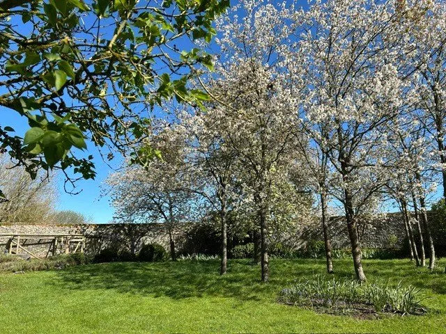 Haverhill Road, Barnardiston, photo 4