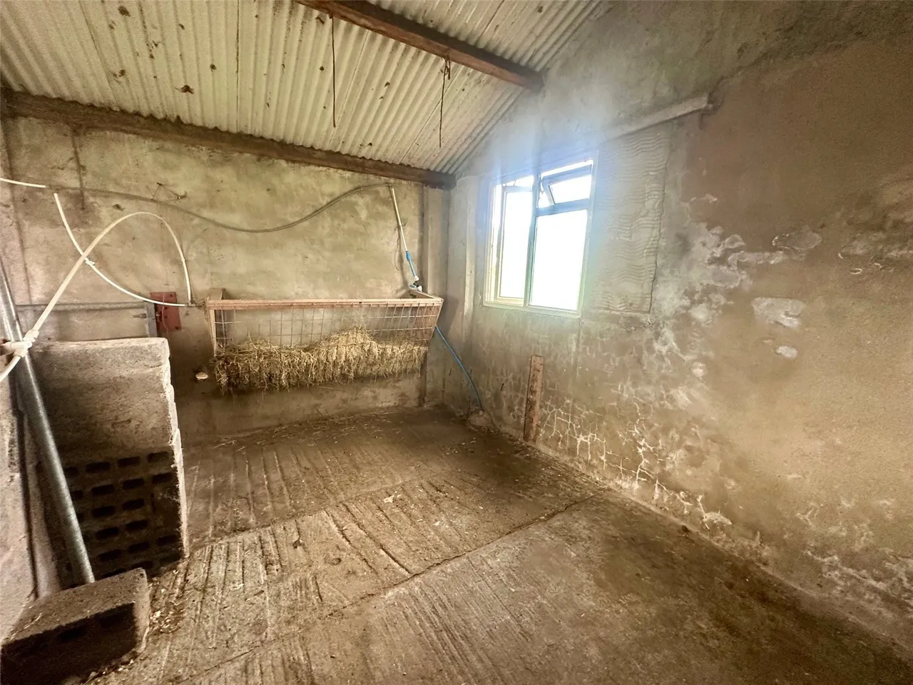 Ceunant, Caernarfon, LL55, photo 24