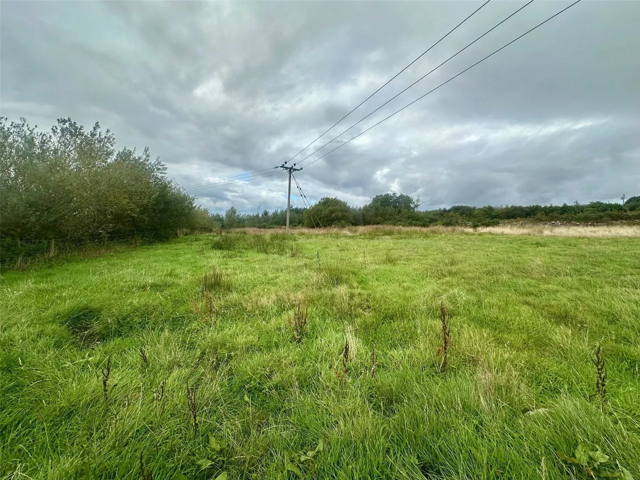 Ceunant, Caernarfon, LL55, photo 34