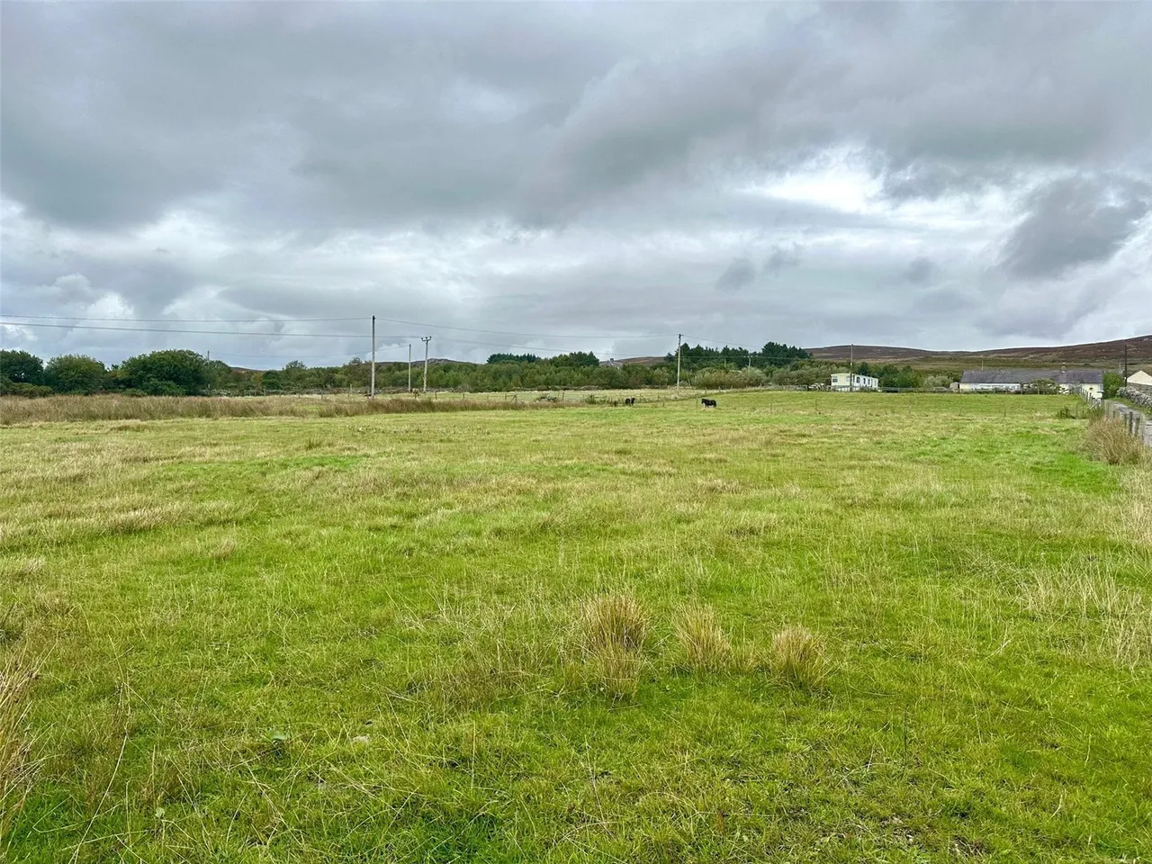 Ceunant, Caernarfon, LL55, photo 30