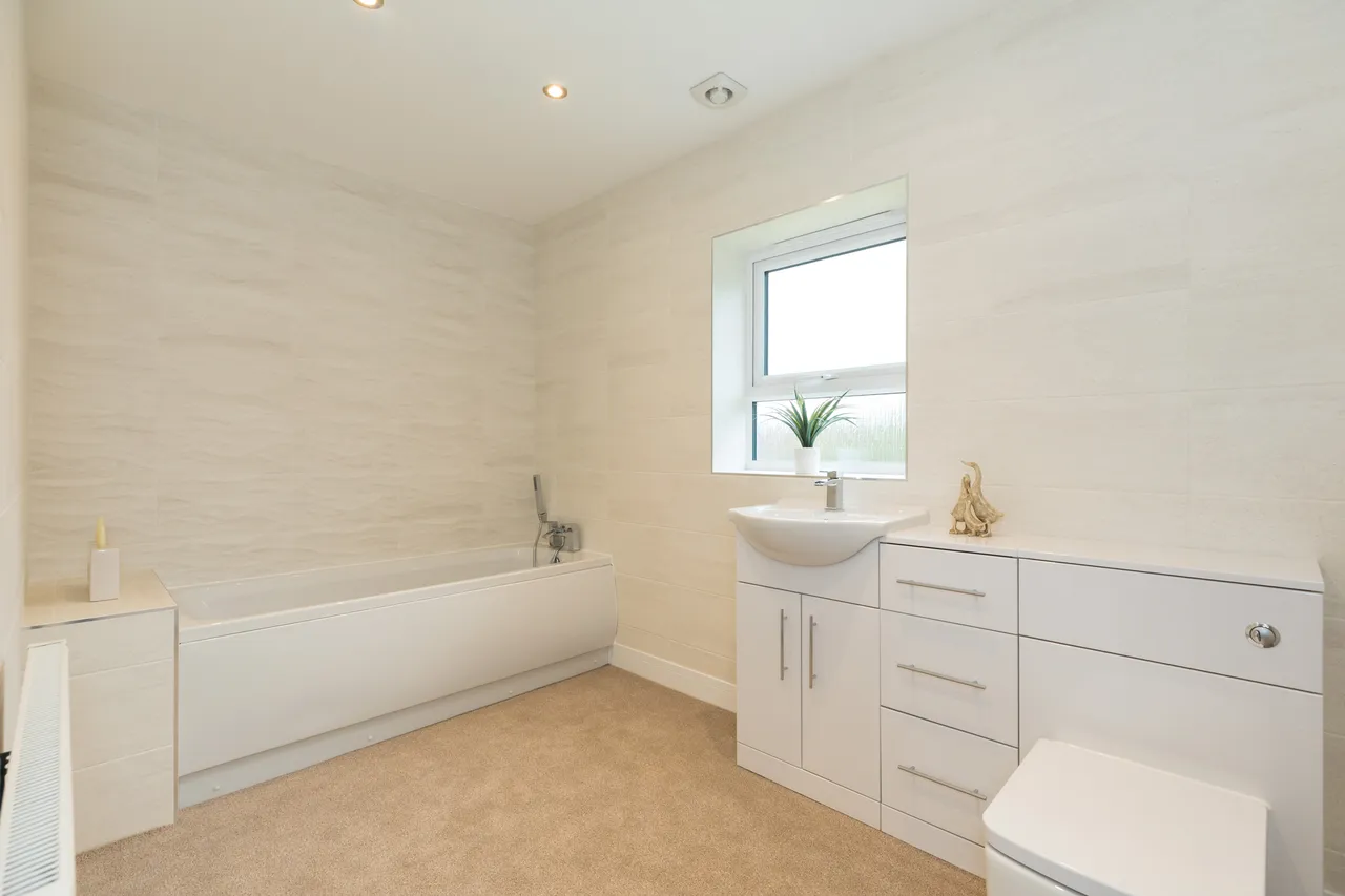 Fossdale Moss, Leyland, PR26, photo 22