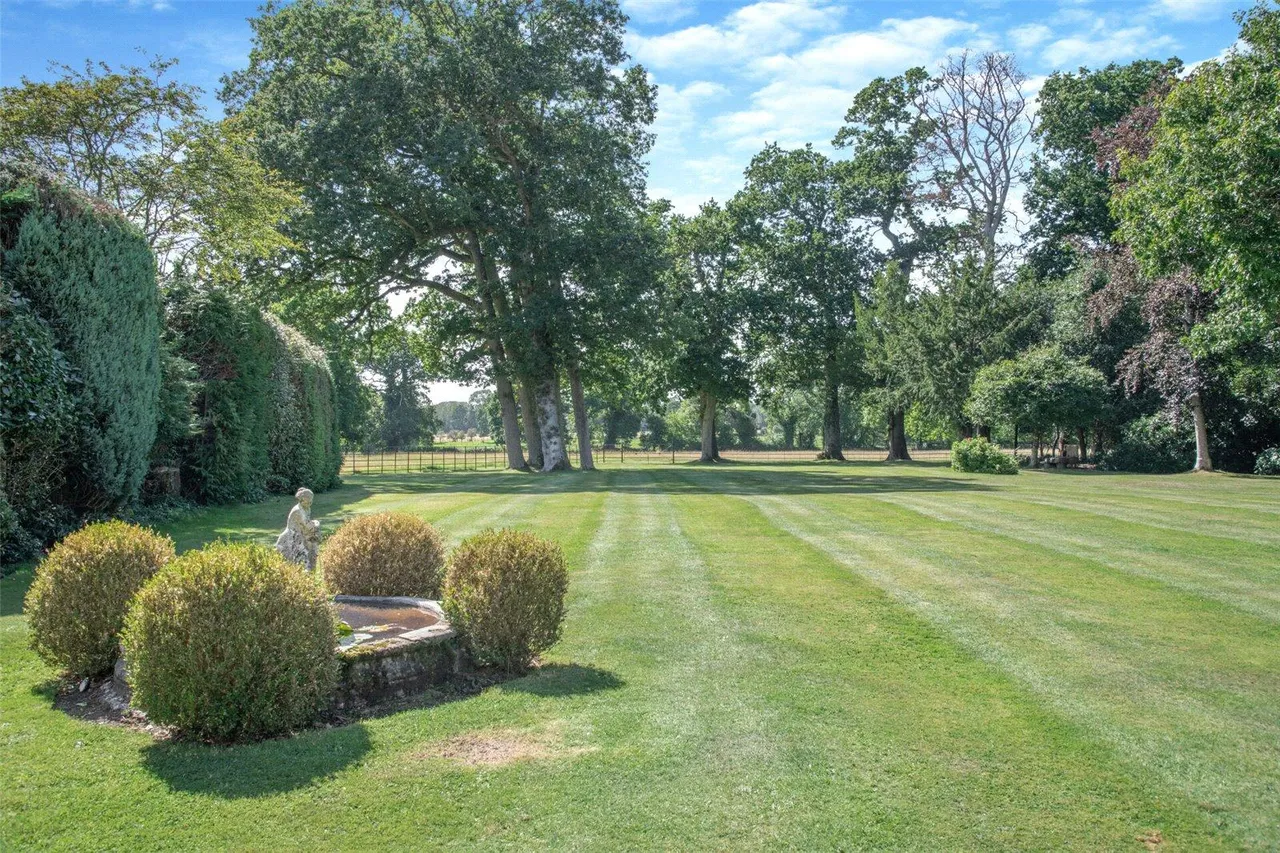 Holmsley South, New Forest, BH23, photo 36
