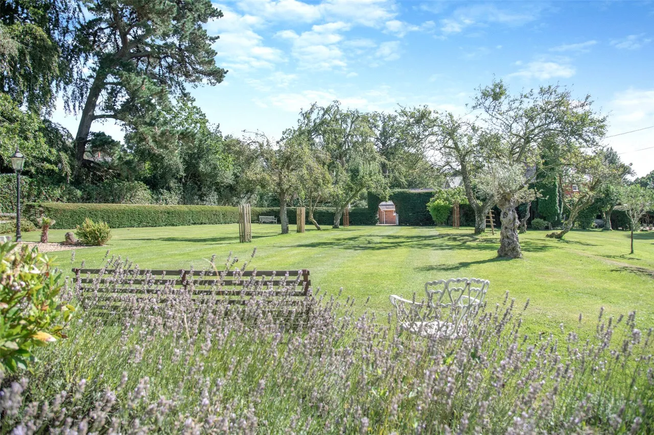 Holmsley South, New Forest, BH23, photo 56