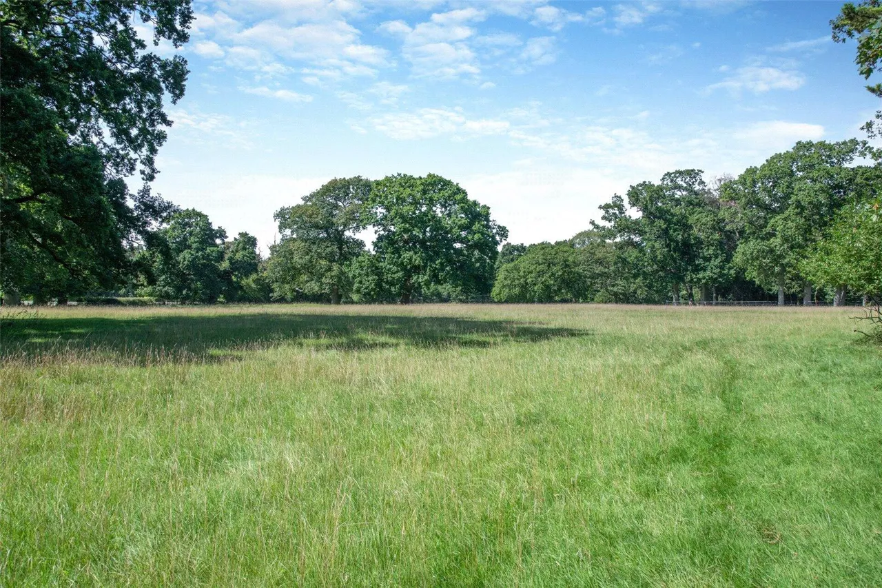 Holmsley South, New Forest, BH23, photo 26
