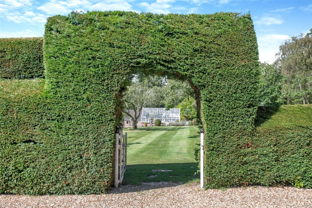 Holmsley South, New Forest, BH23, photo 53