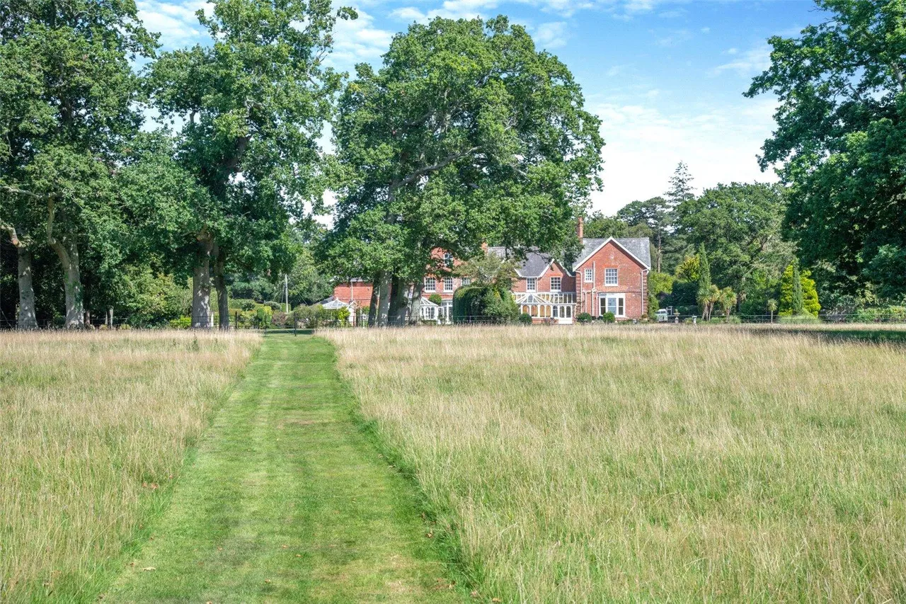 Holmsley South, New Forest, BH23, photo 27