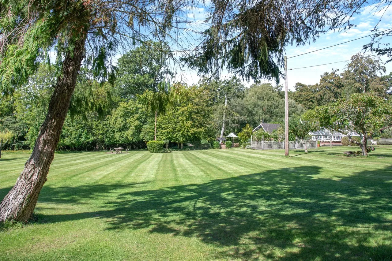 Holmsley South, New Forest, BH23, photo 52