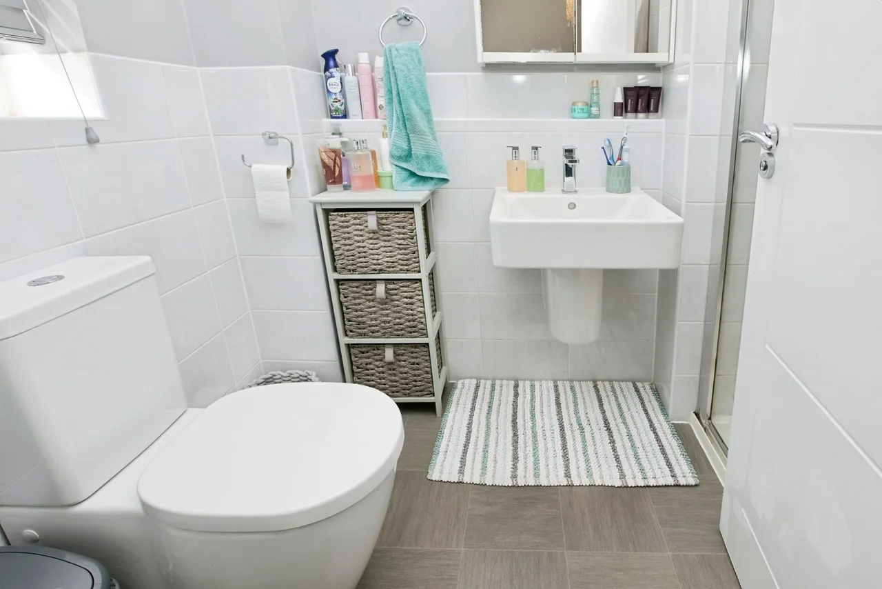 Canterbury Drive, Littleover, DE23, photo 12