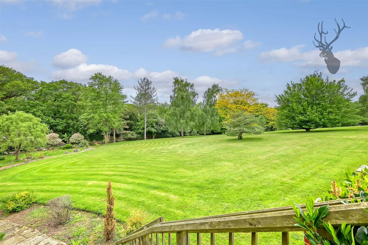 Epping New Road, Buckhurst Hill, IG9, photo 8