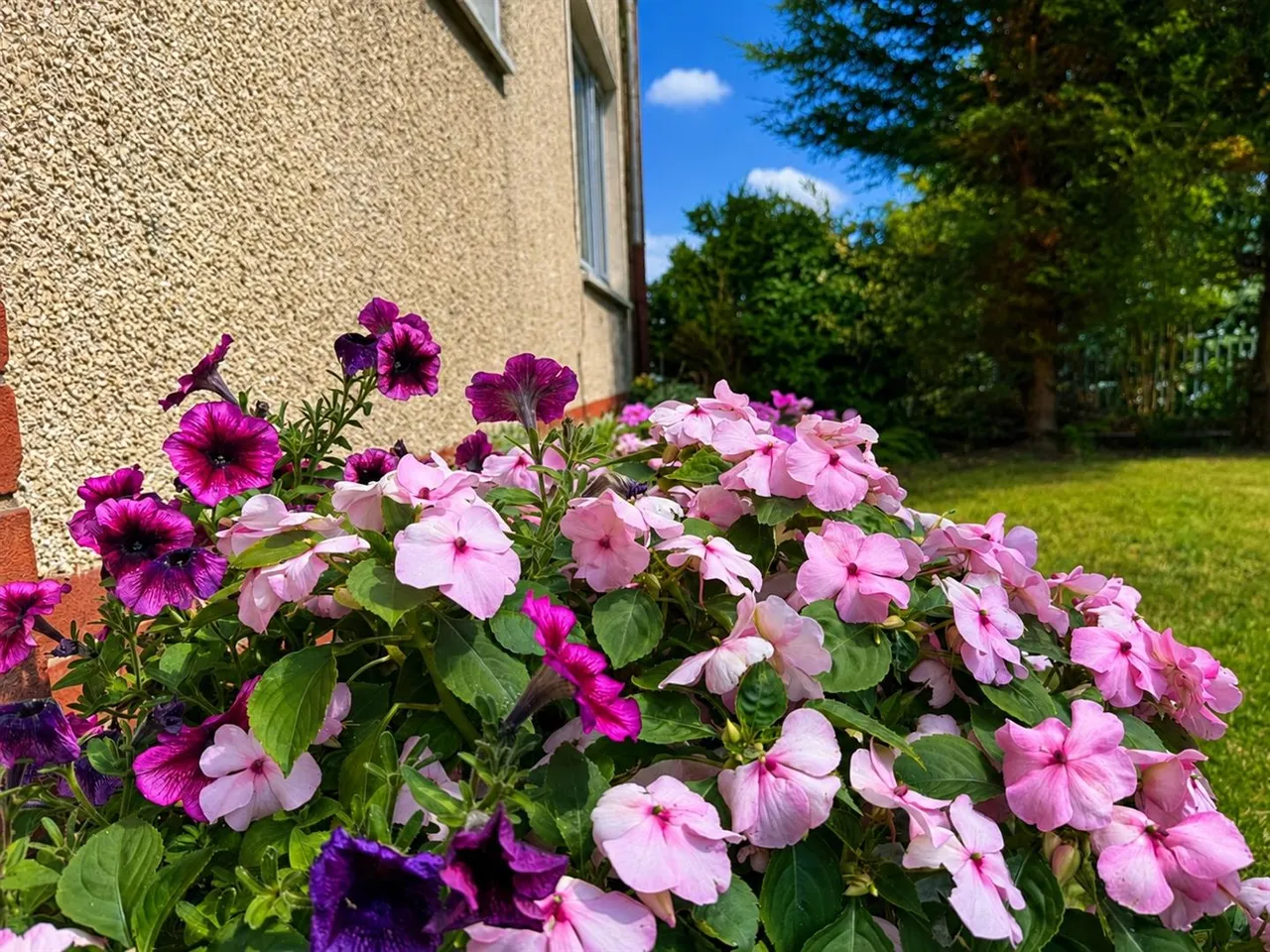 Laighmuir Street, Uddingston, Glasgow, G71 7JY, photo 8