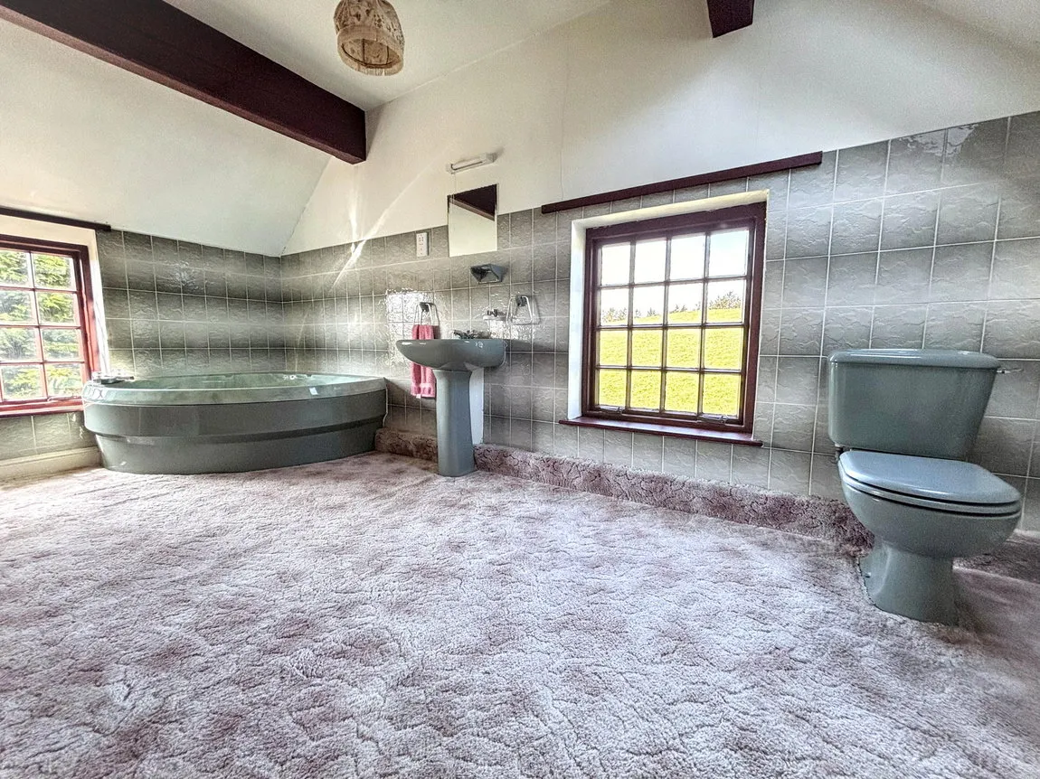 Pant Road, Denbigh, Llansannan, Conwy, LL16 5NF, photo 15