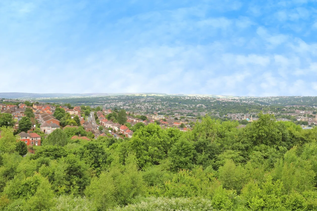 Kenninghall View, Sheffield, South Yorkshire, S2, photo 9