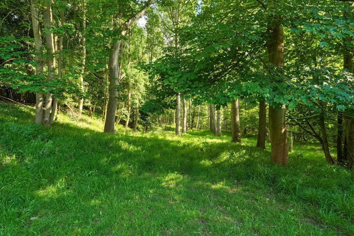 Moreton Paddox, Warwick, CV35, photo 9