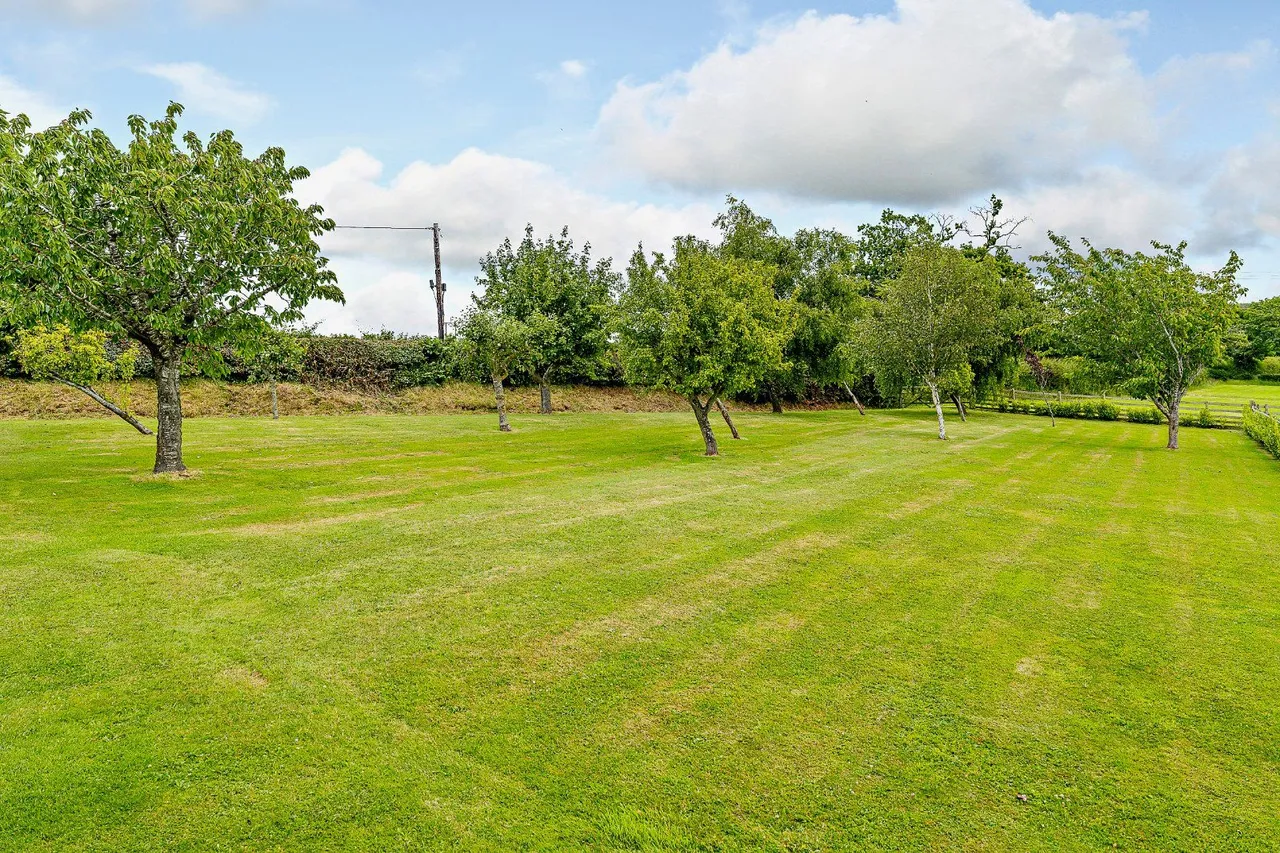 Groesffordd Marli, Abergele, LL22, photo 24