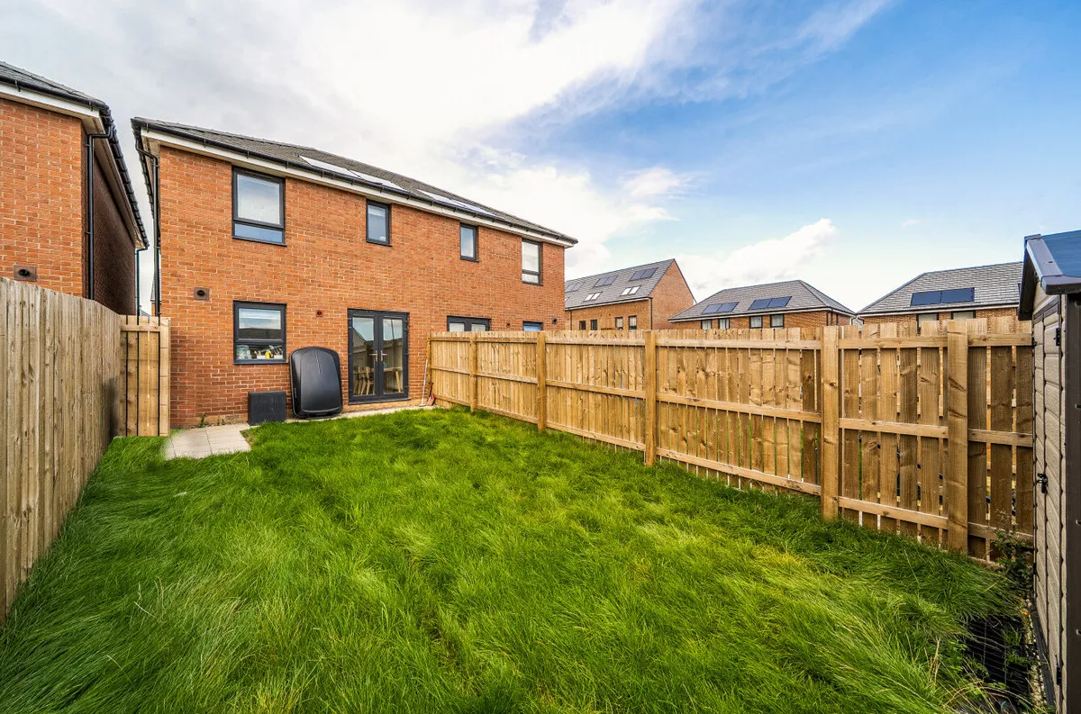 Gorse Walk, Rotherham, S60, photo 8