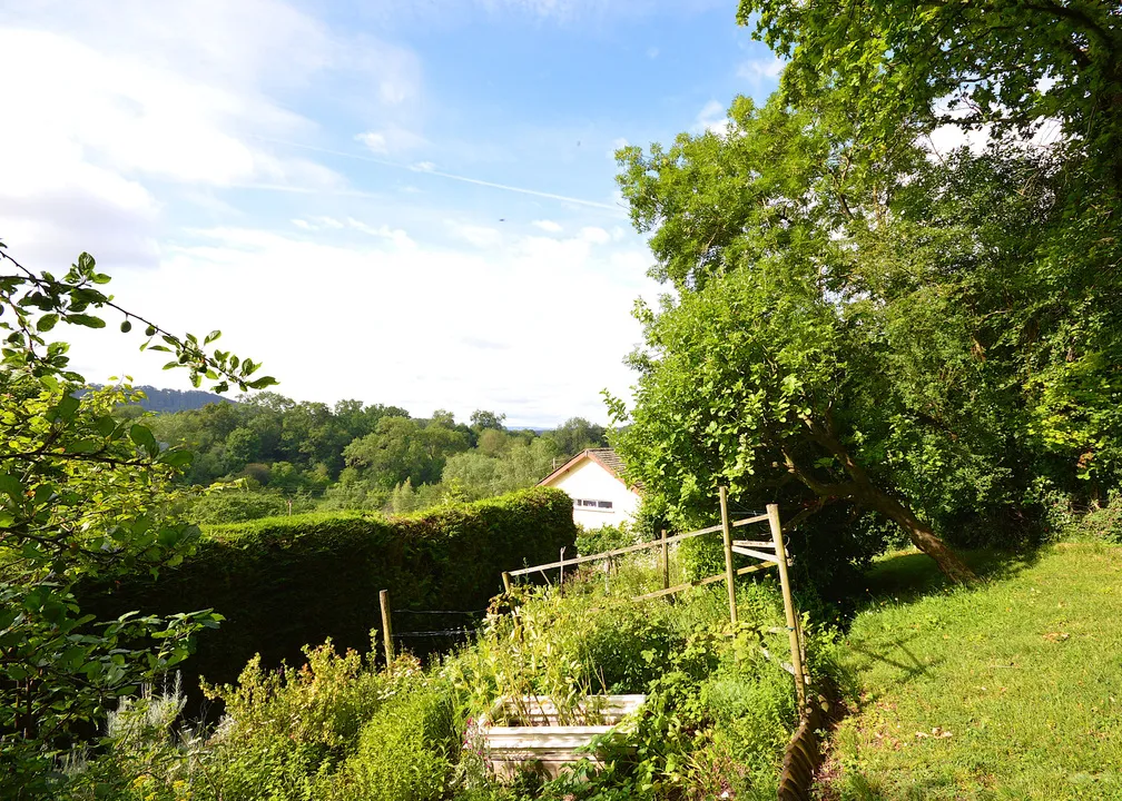 The Little House, Fownhope, Hereford, Herefordshire, photo 46