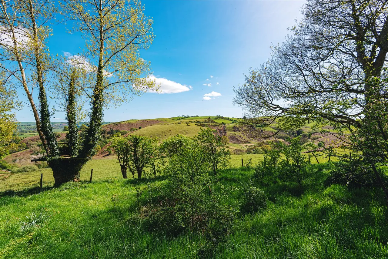 Penstrowed, Caersws, Powys, SY17 5SG, photo 9