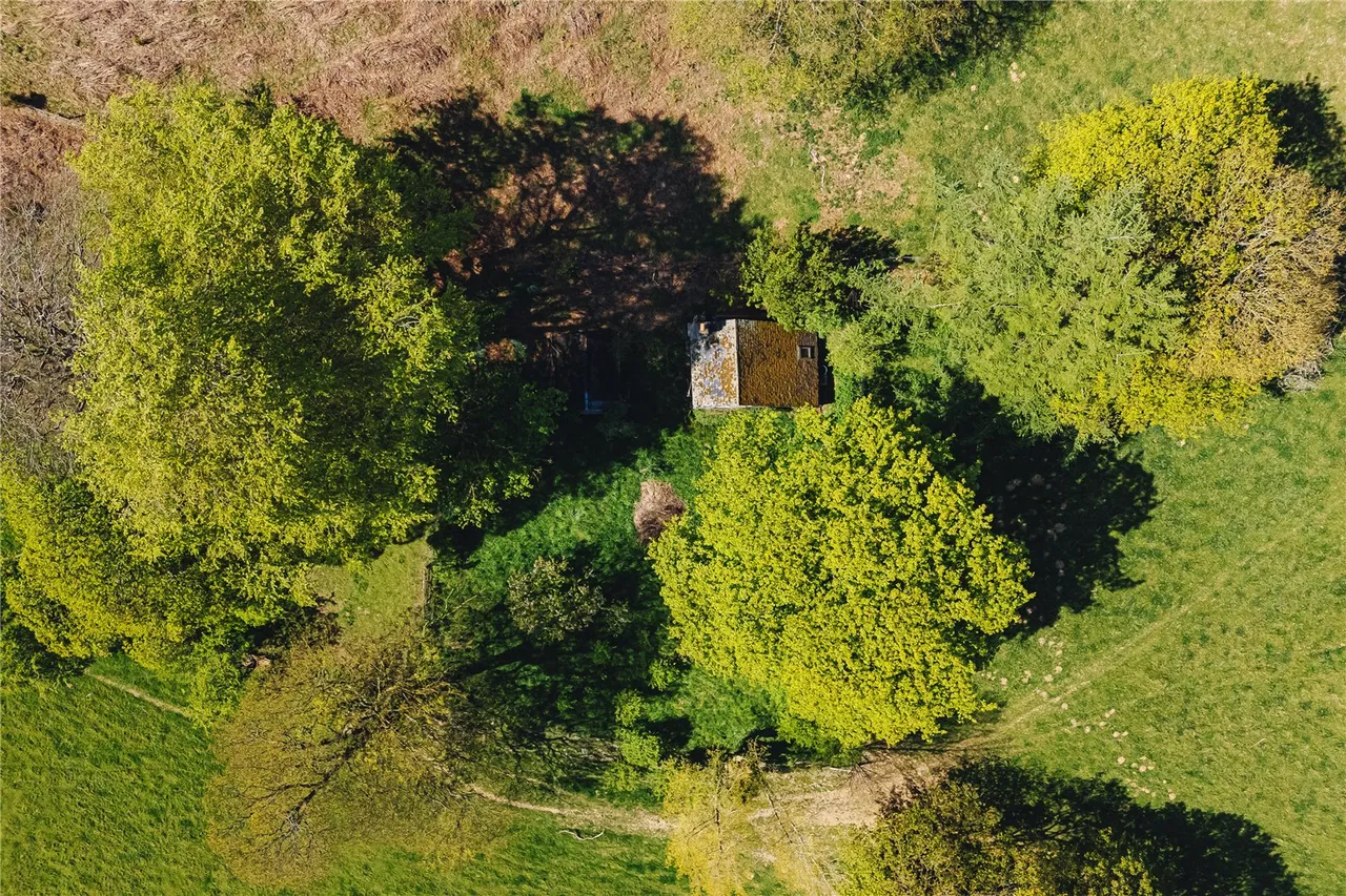 Penstrowed, Caersws, Powys, SY17 5SG, photo 7