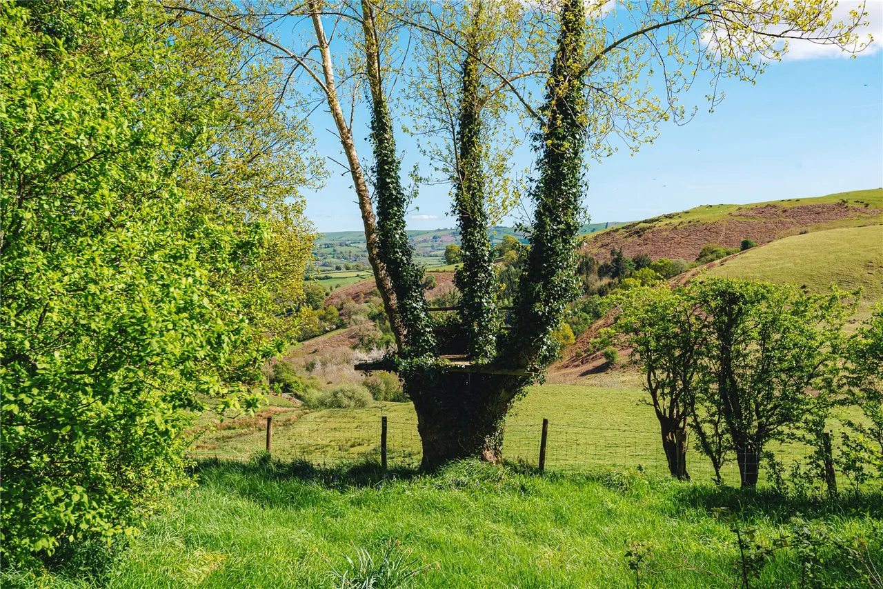 Penstrowed, Caersws, Powys, SY17 5SG, photo 20