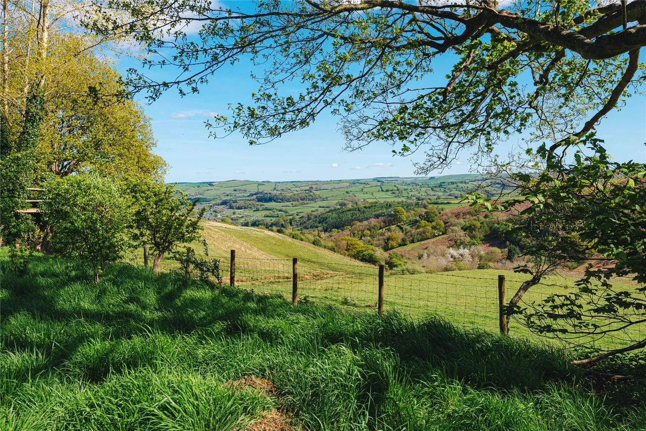 Penstrowed, Caersws, Powys, SY17 5SG, photo 17