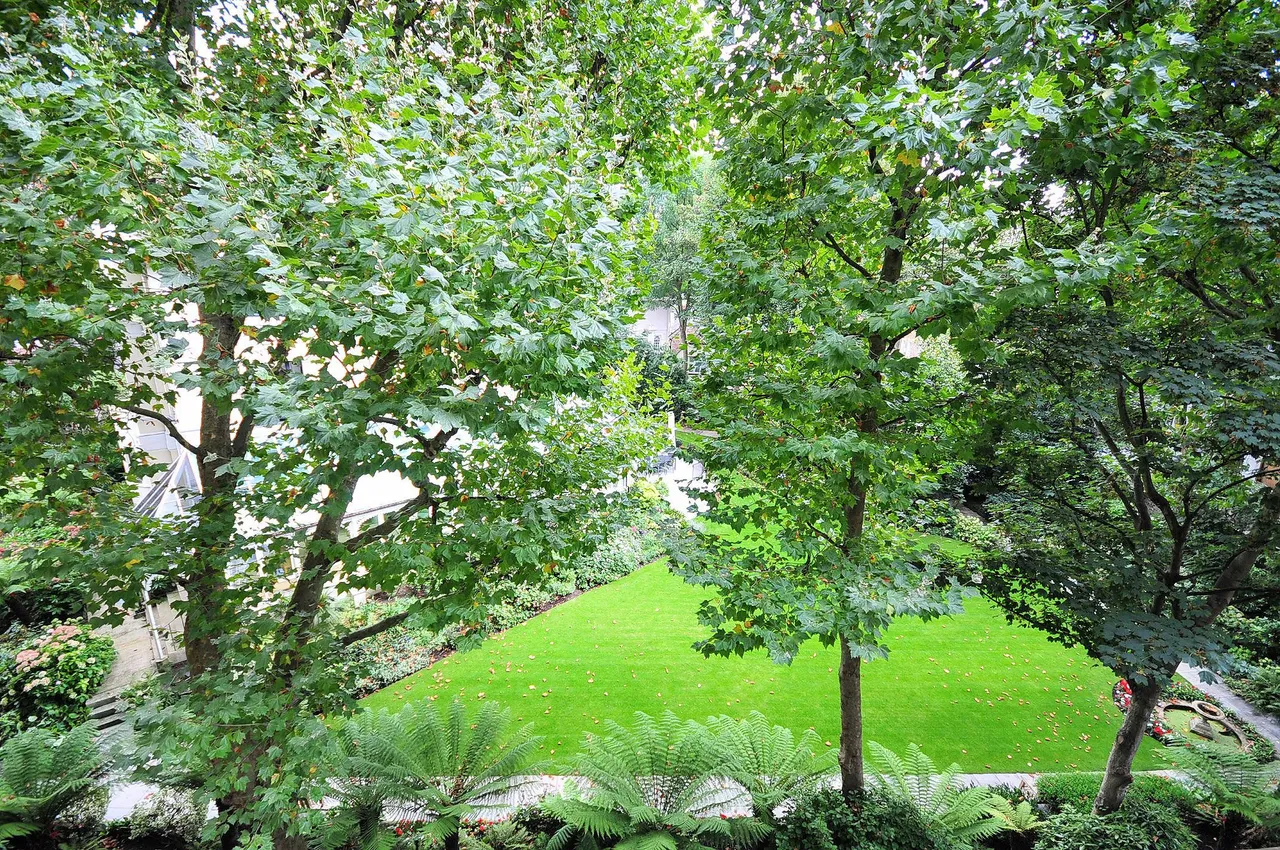 London, W8, photo 15