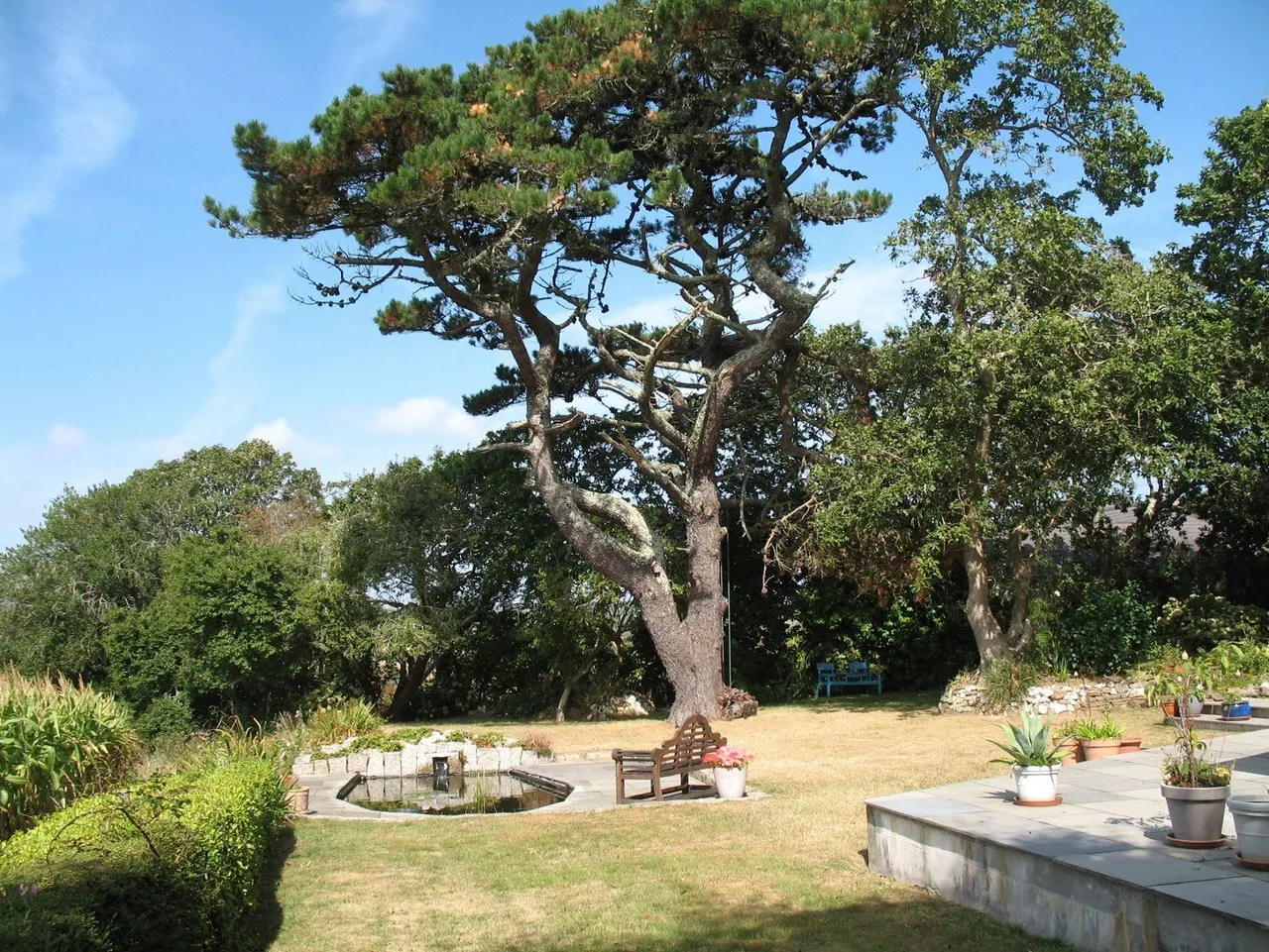 Bonallack Lane, Gweek, TR12, photo 19