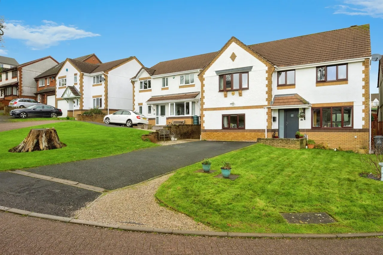 Cursons Way, Woodlands, PL21, photo 33