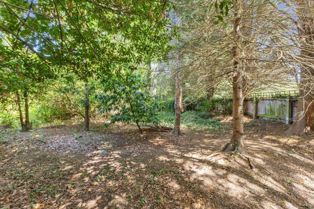 Wellesley Avenue South, Norwich, Norfolk, NR1, photo 20