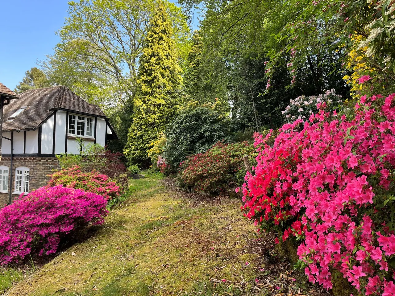 Rock Road, Storrington, RH20, photo 9
