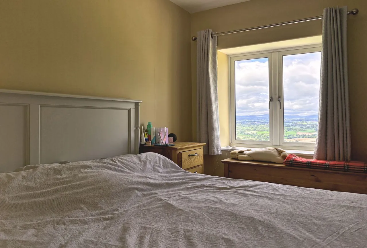 Highfield, Lydart, photo 17