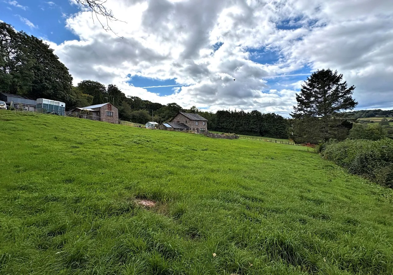 Highfield, Lydart, photo 5