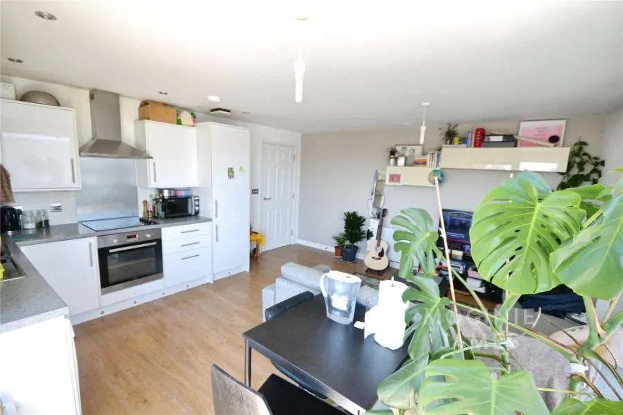 Cathays Terrace, Cardiff, CF24, photo 2