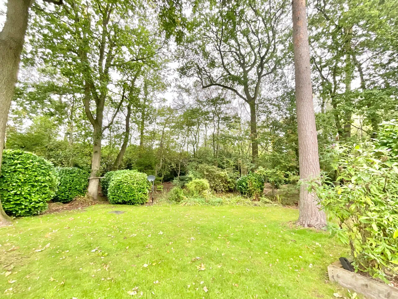 Derwent Drive, Loggerheads, TF9, photo 28
