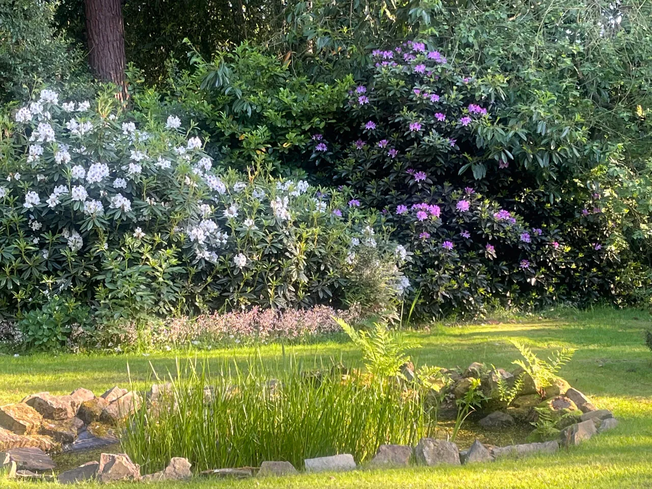 Derwent Drive, Loggerheads, TF9, photo 34
