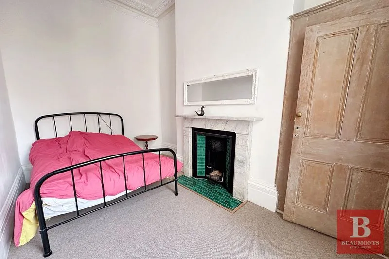 Brunswick Road, Hove BN3 1DH, photo 9