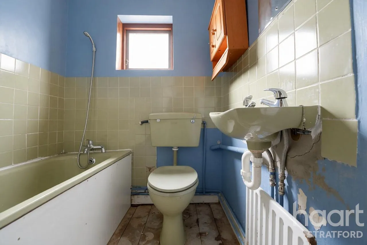 Amity Road, London, E15, photo 10