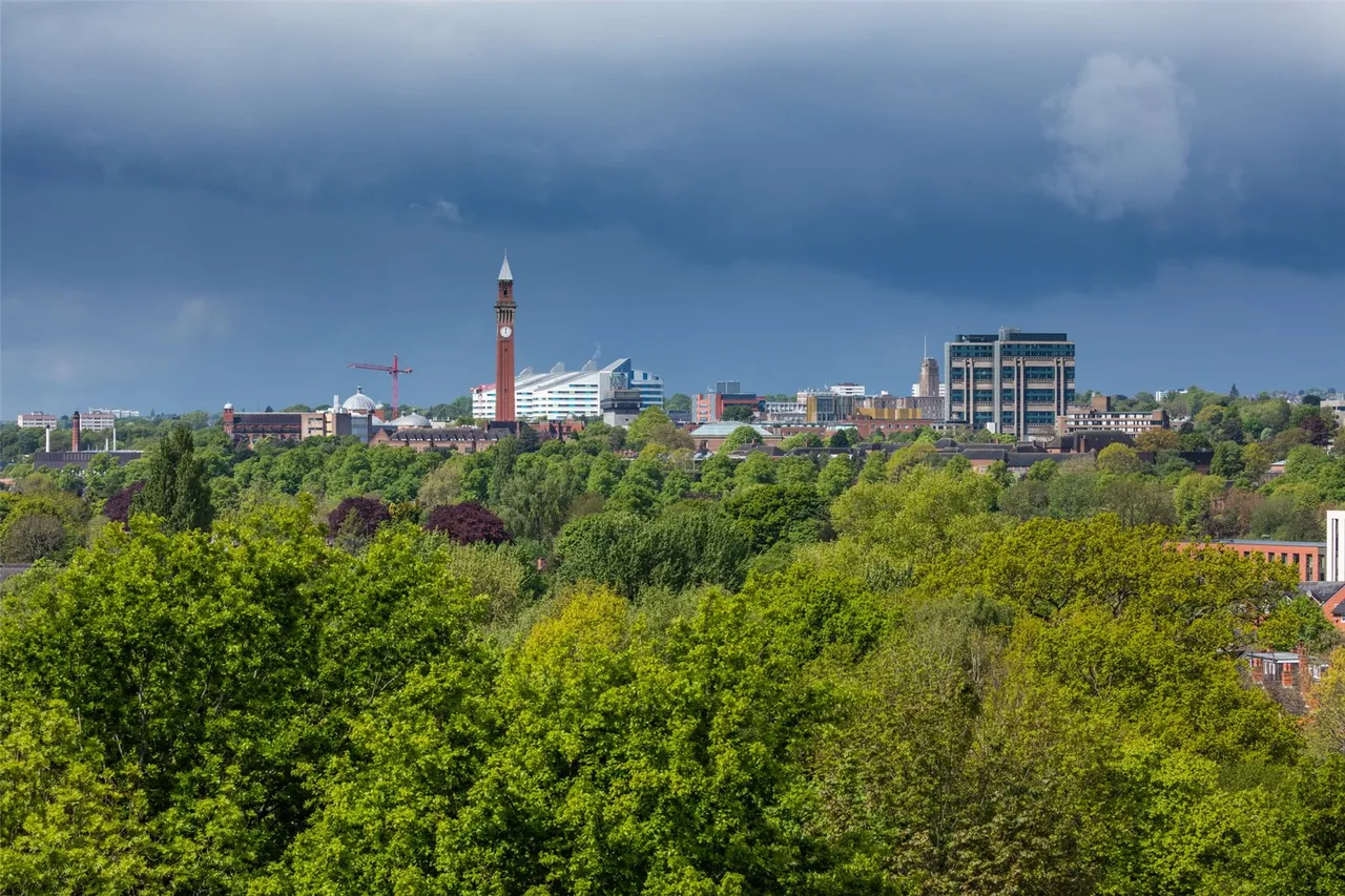Goodby Road, Birmingham, West Midlands, B13 8RL, photo 9