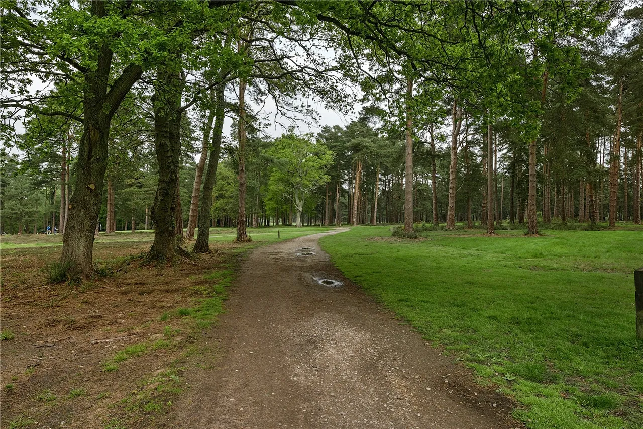 Holly Bank Road, Woking, GU22, photo 19