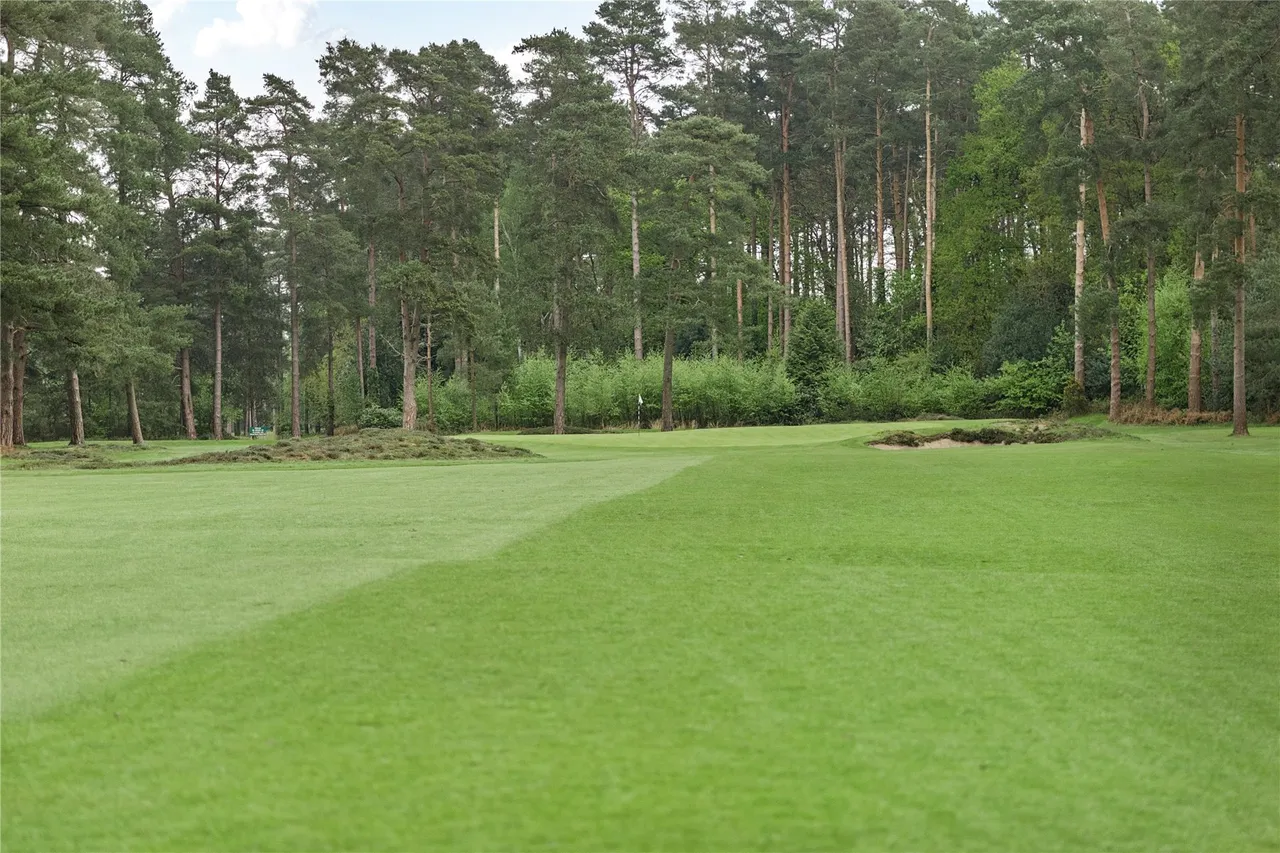 Holly Bank Road, Woking, GU22, photo 20