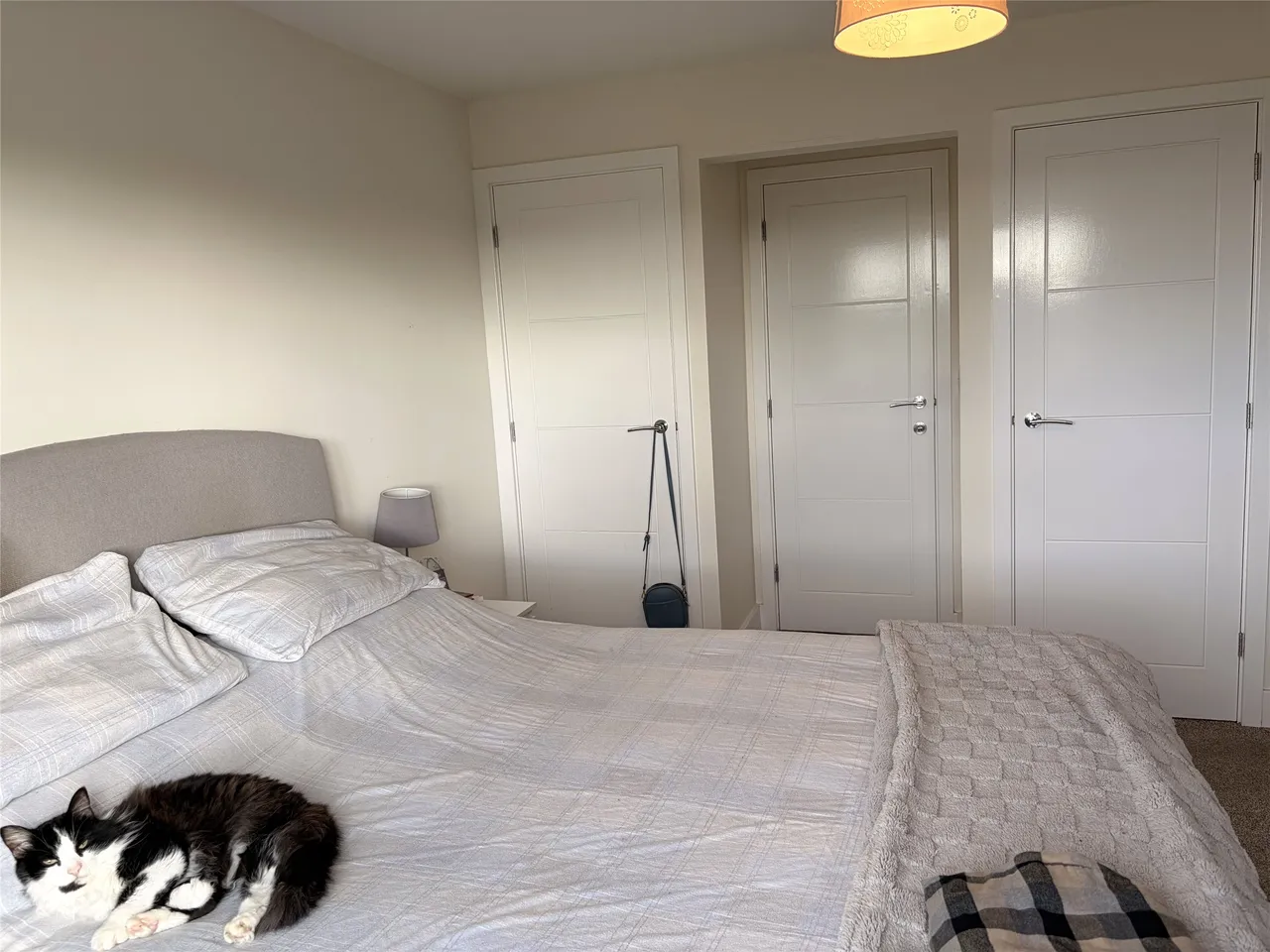 Tarka Way, Braunton, EX33, photo 5