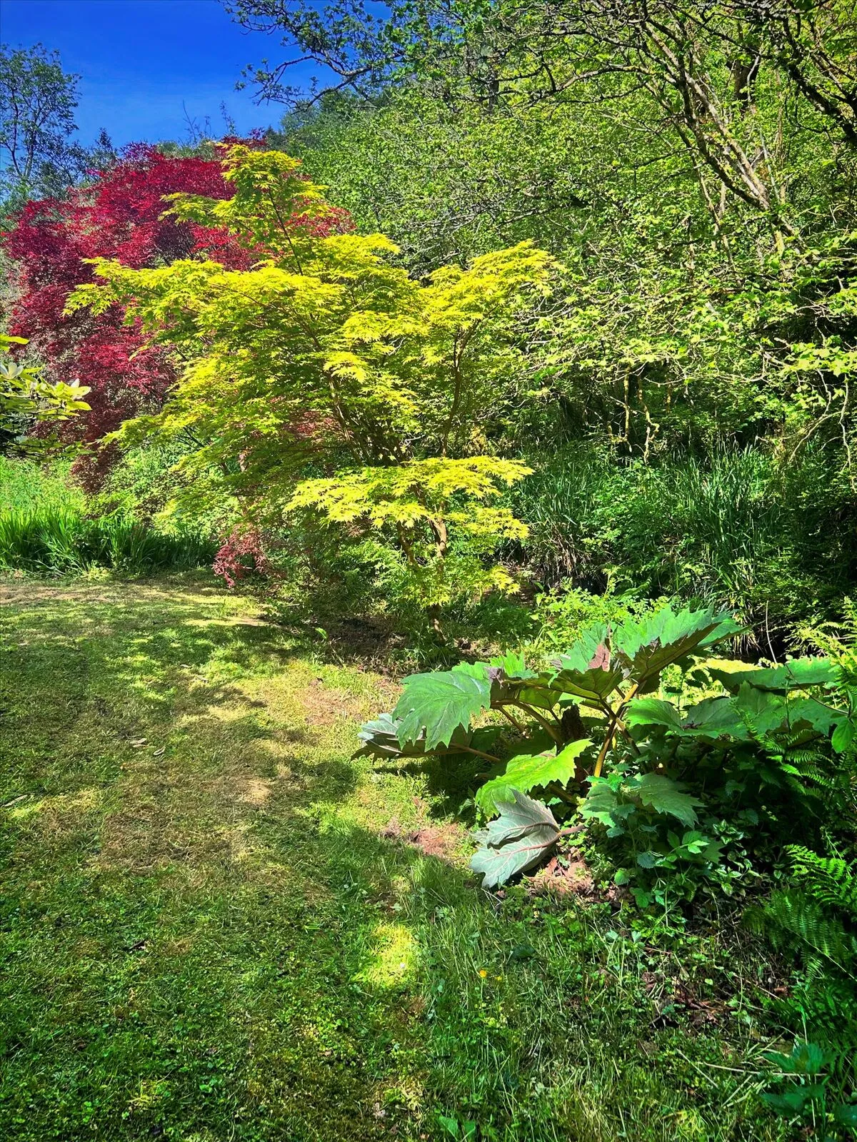 Longcoombe Lane, Polperro, PL13, photo 22