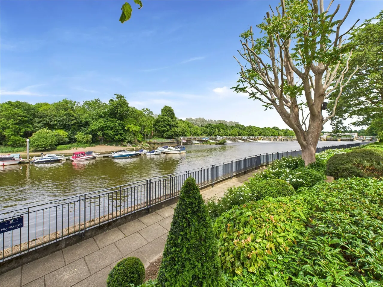 Pinewood Gardens, Teddington, TW11, photo 6
