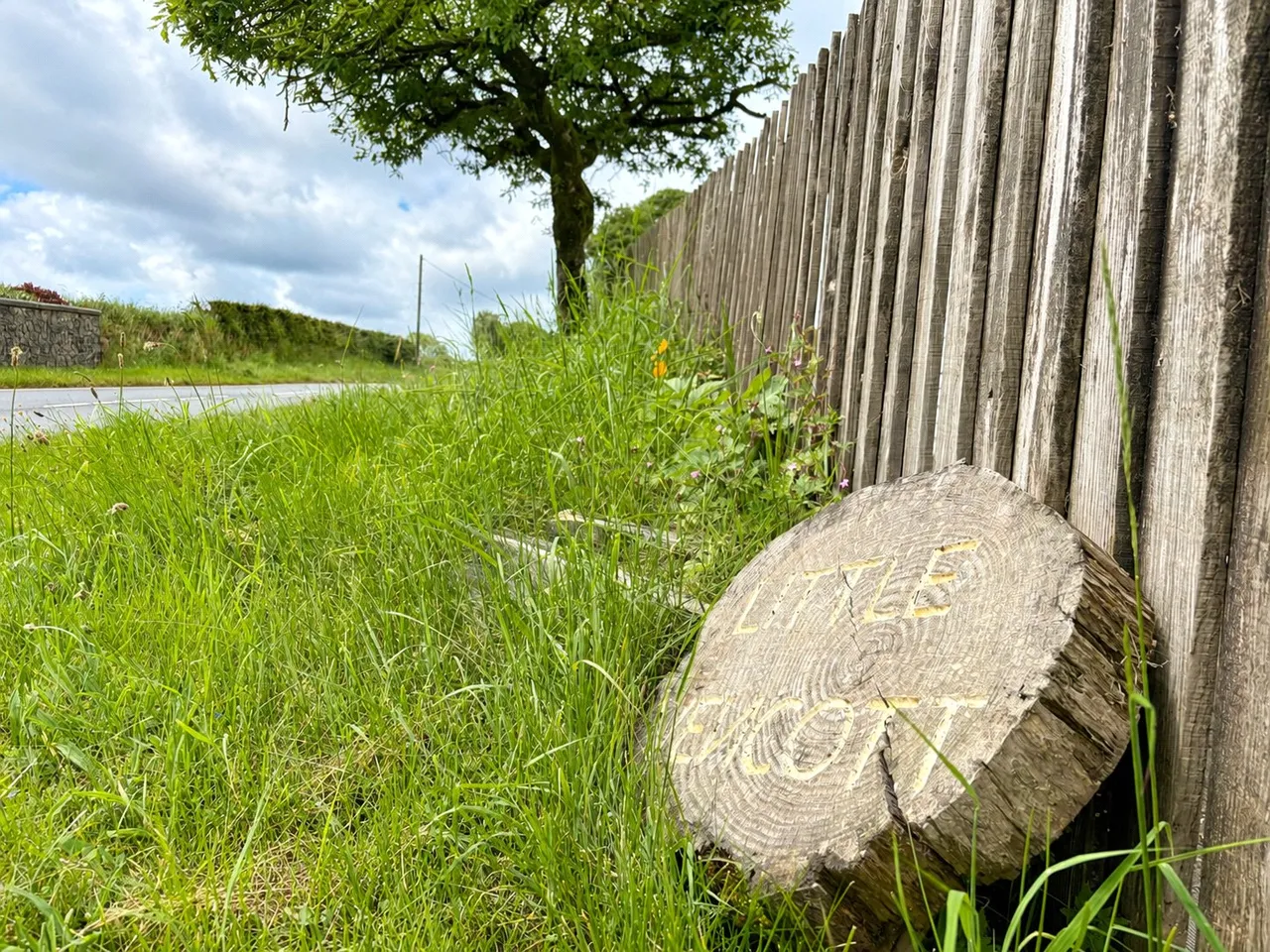 Newton St. Petrock, Holsworthy, EX22, photo 5