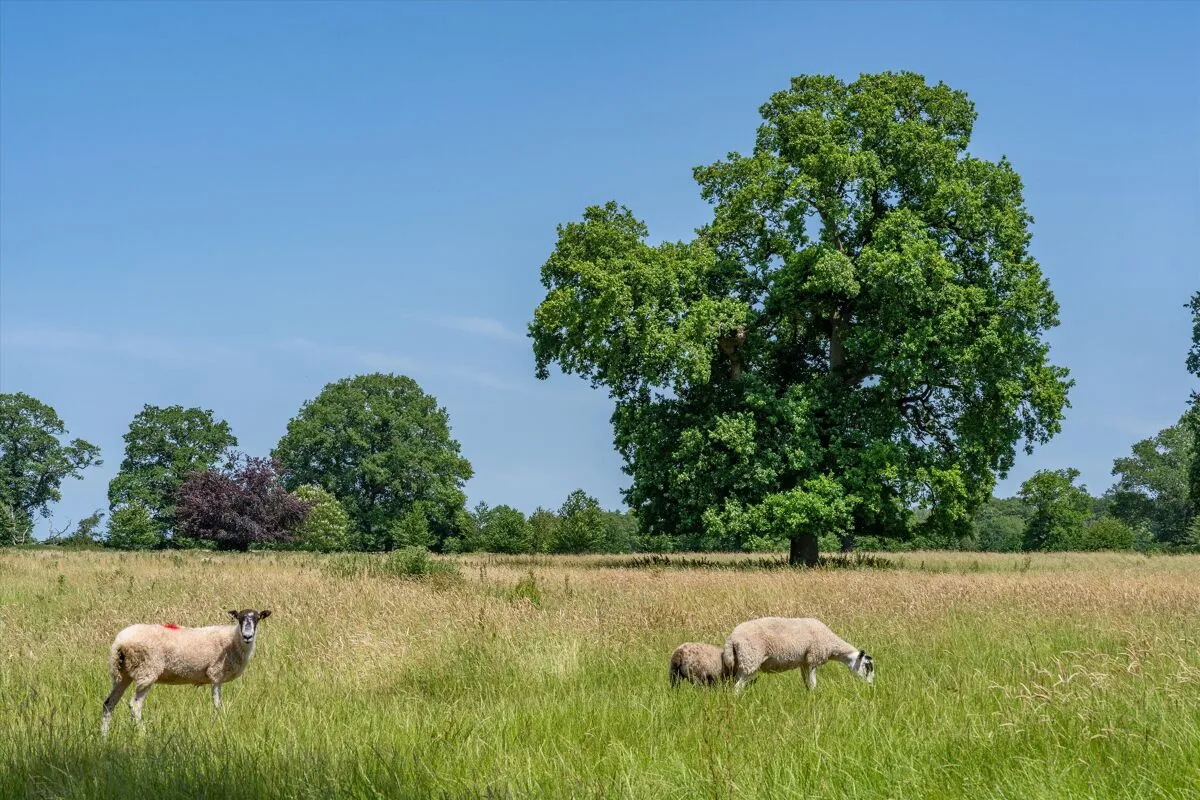 Chaddleworth, Newbury, RG20, photo 29