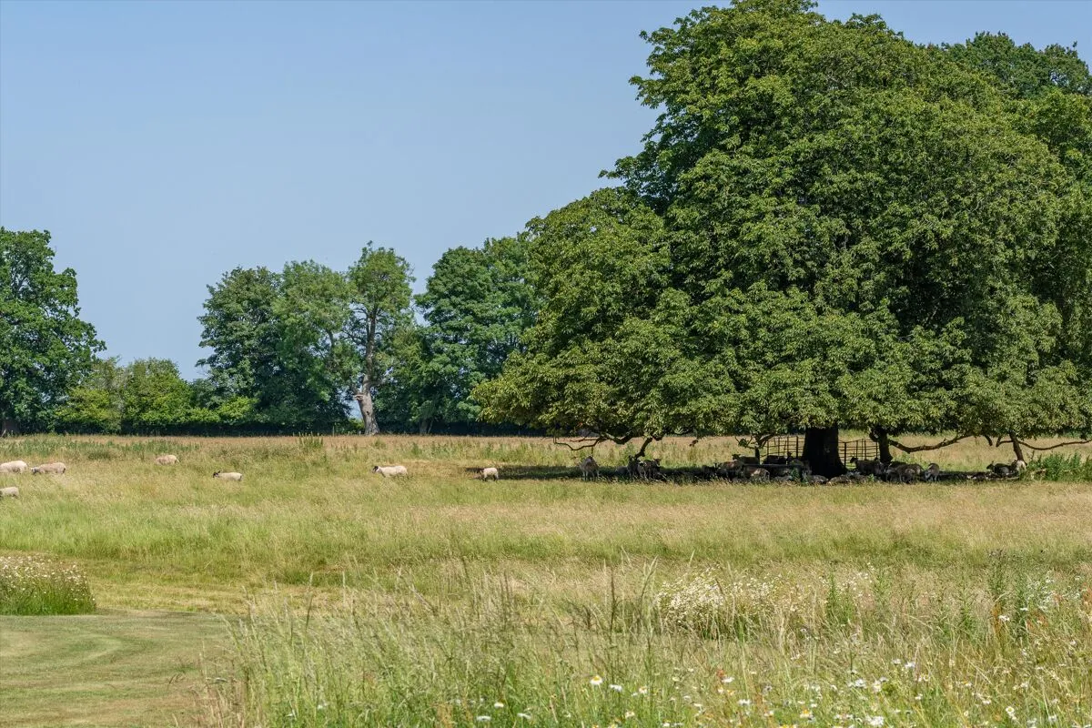 Chaddleworth, Newbury, RG20, photo 32