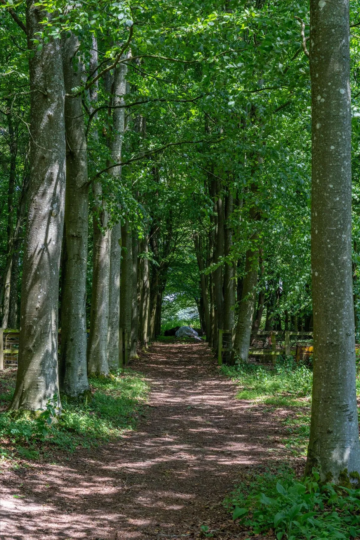 Chaddleworth, Newbury, RG20, photo 30