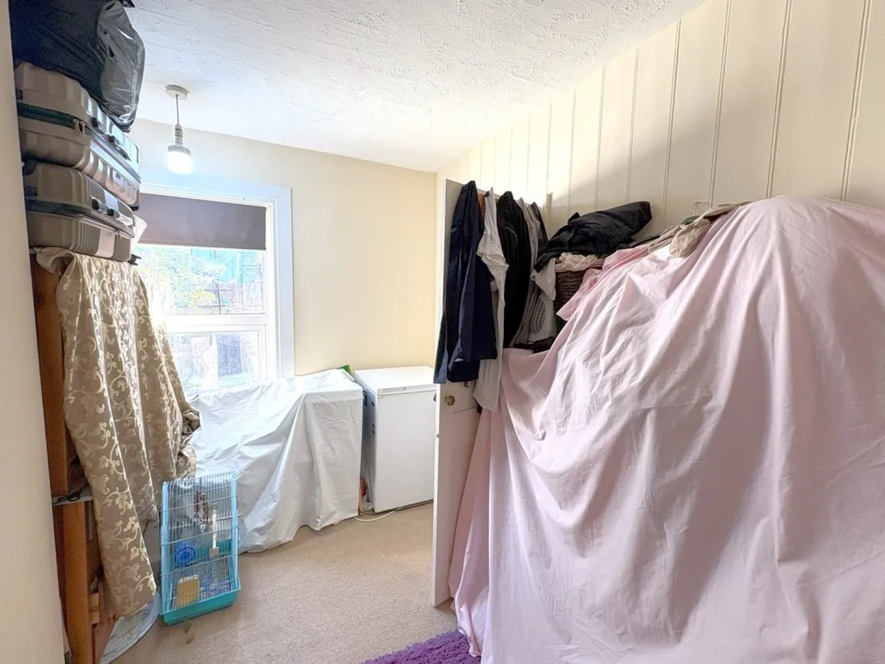 Bulwer Road, Town Centre, IP1, photo 10