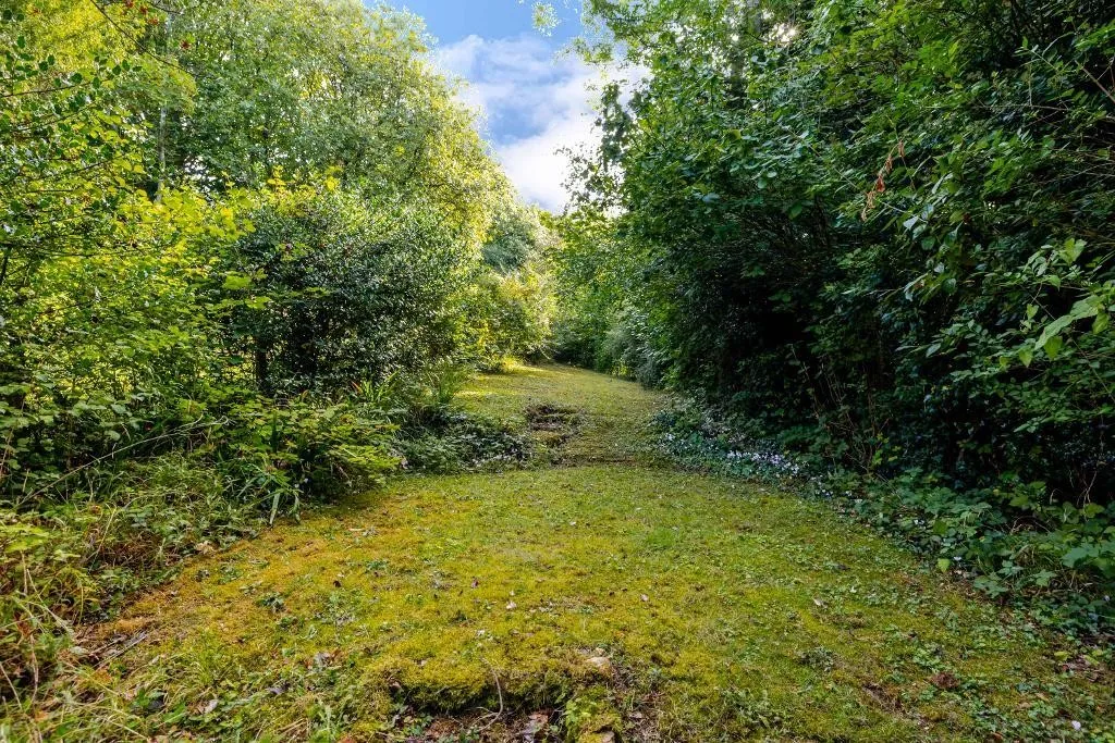 Tithepit Shaw Lane, Warlingham, photo 22