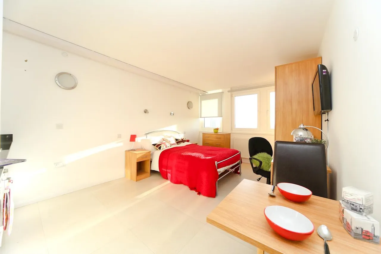 Courland Grove, SW8, photo 5
