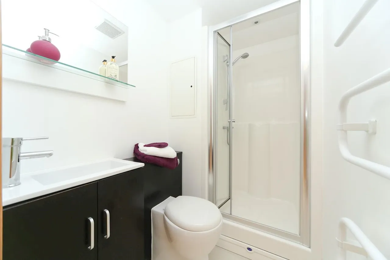 Courland Grove, SW8, photo 4